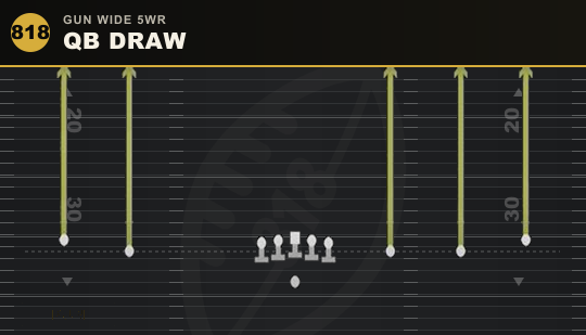 QB DRAW from Gun Wide 5WR