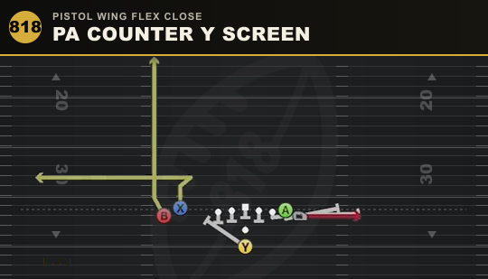 PA COUNTER Y SCREEN from Pistol Wing Flex Close