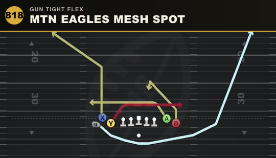 MTN EAGLES MESH SPOT from Gun Tight Flex