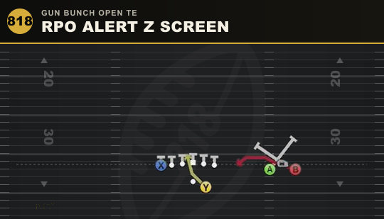 RPO ALERT Z SCREEN from Gun Bunch Open TE