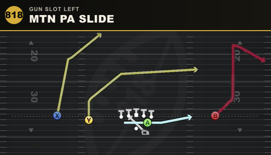 MTN PA SLIDE from Gun Slot Left