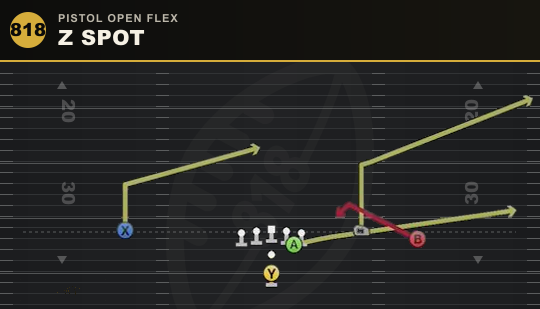 Z SPOT from Pistol Open Flex