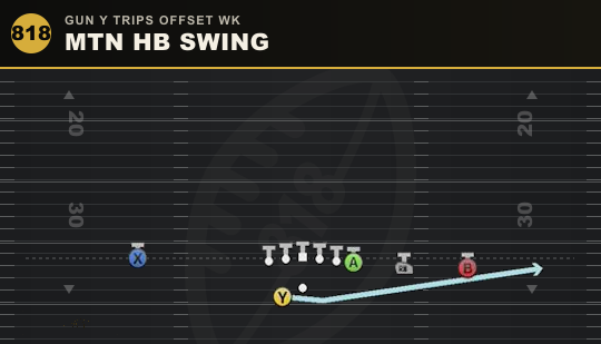 MTN HB SWING from Gun Y Trips Offset Wk