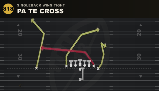 PA TE CROSS from Singleback Wing Tight