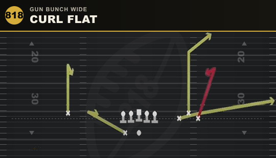 CURL FLAT from Gun Bunch Wide