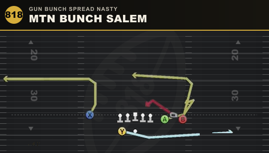 MTN BUNCH SALEM from Gun Bunch Spread Nasty