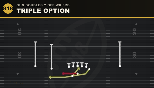 TRIPLE OPTION from Gun Doubles Y Off Wk 3RB