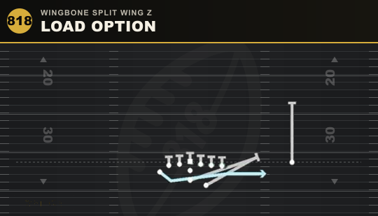 LOAD OPTION from Wingbone Split Wing Z