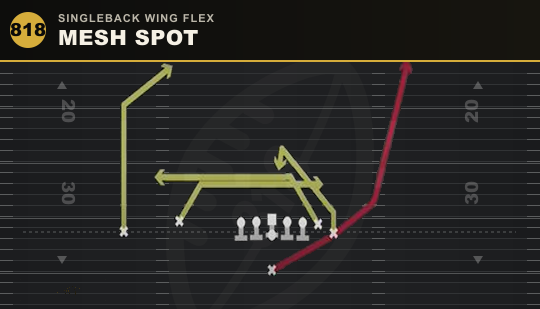 MESH SPOT from Singleback Wing Flex