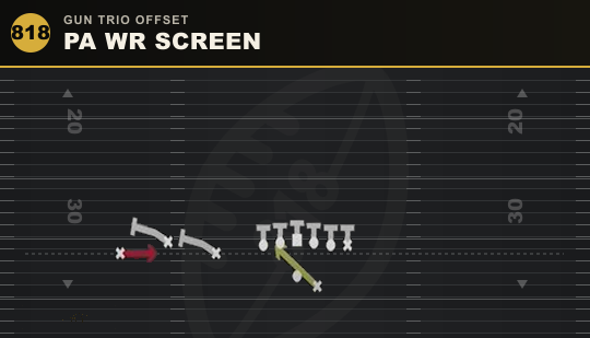 PA WR SCREEN from Gun Trio Offset