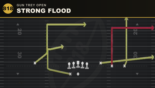 STRONG FLOOD from Gun Trey Open