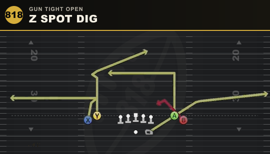 Z SPOT DIG from Gun Tight Open