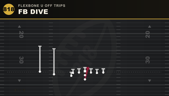FB DIVE from Flexbone U Off Trips