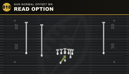 READ OPTION from Gun Normal Offset Wk