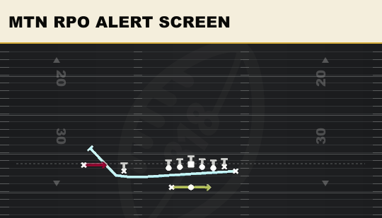 MTN RPO ALERT SCREEN from Wing Slot Wk
