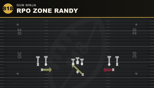 RPO ZONE RANDY from Gun Ninja