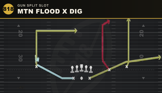 MTN FLOOD X DIG from Gun Split Slot
