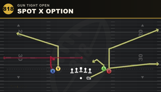 SPOT X OPTION from Gun Tight Open