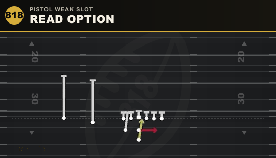 READ OPTION from Pistol Weak Slot