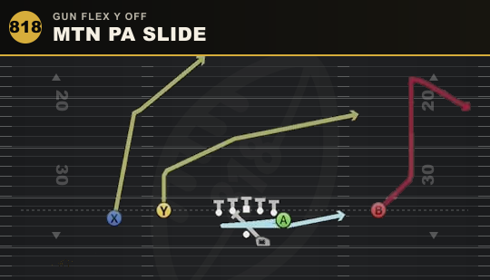 MTN PA SLIDE from Gun Flex Y Off
