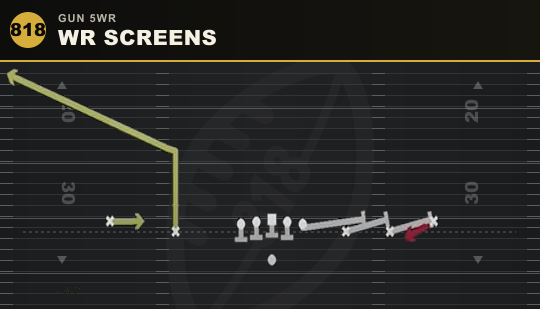 WR SCREENS from Gun 5WR