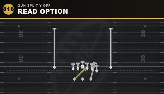 READ OPTION from Gun Split Y Off