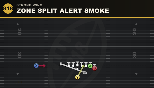 ZONE SPLIT ALERT SMOKE from Strong Wing