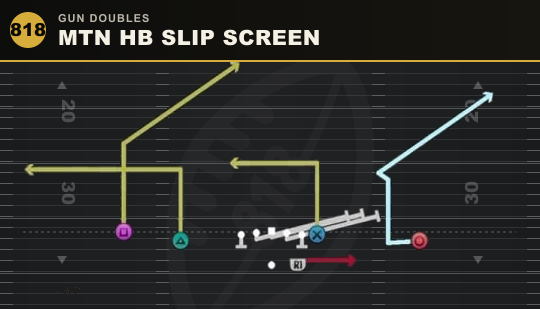 MTN HB SLIP SCREEN from Gun Doubles