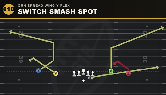 SWITCH SMASH SPOT from Gun Spread Wing Y-Flex