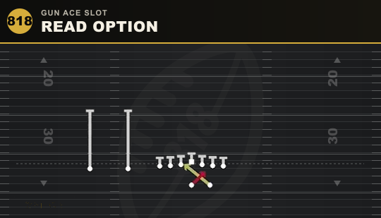 READ OPTION from Gun Ace Slot