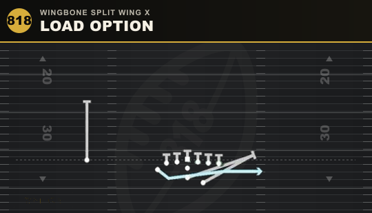 LOAD OPTION from Wingbone Split Wing X