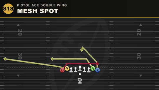 MESH SPOT from Pistol Ace Double Wing