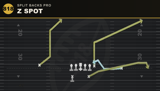 Z SPOT from Split Backs Pro