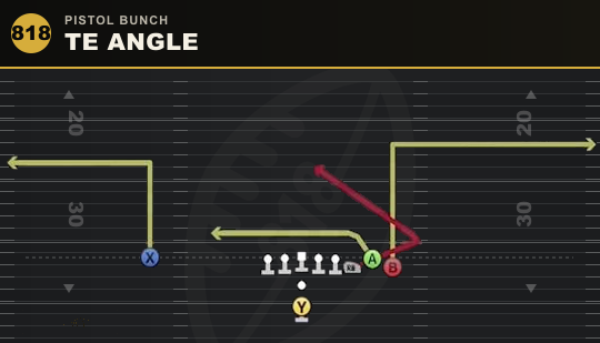 TE ANGLE from Pistol Bunch