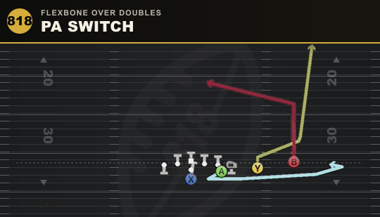 PA SWITCH from Flexbone Over Doubles