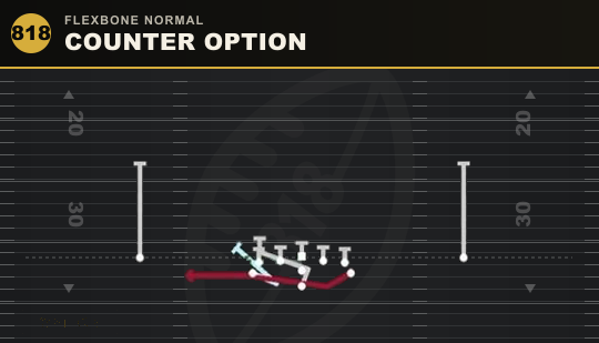 COUNTER OPTION from Flexbone Normal