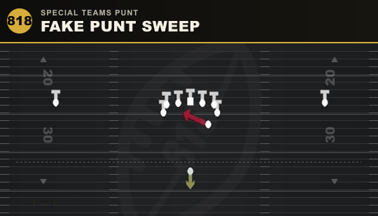 FAKE PUNT SWEEP from Special Teams Punt
