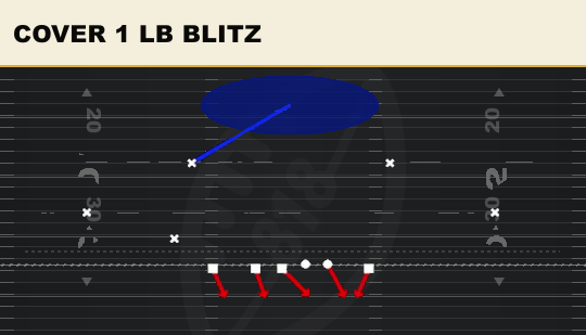 COVER 1 LB BLITZ from 2-4 Load Dbl Mug