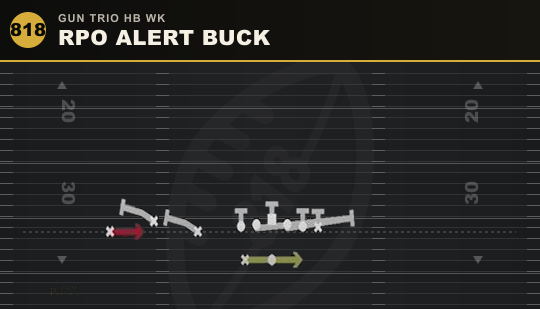 RPO ALERT BUCK from Gun Trio HB Wk