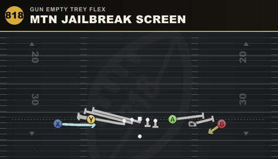 MTN JAILBREAK SCREEN from Gun Empty Trey Flex