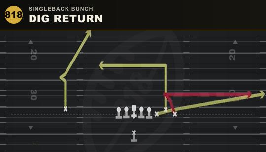 DIG RETURN from Singleback Bunch