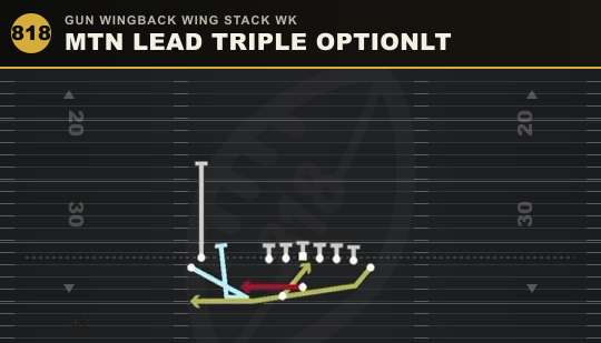 MTN LEAD TRIPLE OPTIONLT from Gun Wingback Wing Stack Wk