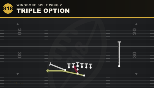 TRIPLE OPTION from Wingbone Split Wing Z
