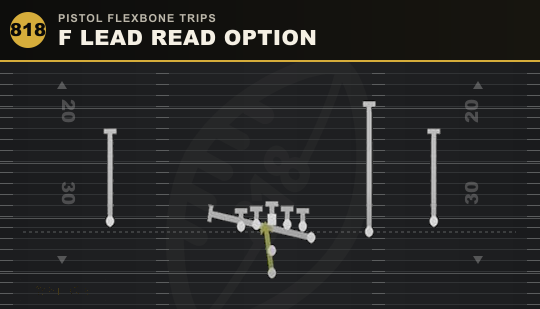 F LEAD READ OPTION from Pistol Flexbone Trips
