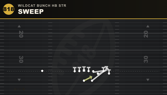 SWEEP from Wildcat Bunch HB Str