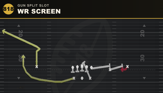 WR SCREEN from Gun Split Slot