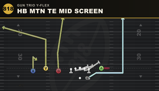 HB MTN TE MID SCREEN from Gun Trio Y-Flex