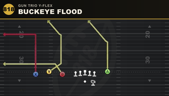 BUCKEYE FLOOD from Gun Trio Y-Flex