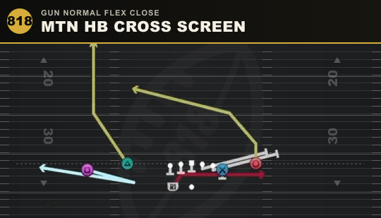 MTN HB CROSS SCREEN from Gun Normal Flex Close