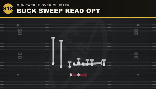 BUCK SWEEP READ OPT from Gun Tackle Over Cluster